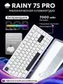 Беспроводная клавиатура Rainy 75 PRO для компьютера с подсветкой RGB, проводная игровая клава 75%