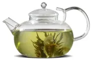 Чайник заварочный 1000мл стекл. Иван-чай (пружина в носике) (TP105)
