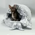 Круглый домик со шторками для мелких и средних собак Puffy Зигзаг
