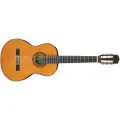 Классическая гитара ARIA A-30S N