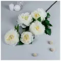 Poetry in flowers Цветы искусственные «Пион кустовой», 5 бутонов, 15×110 см, белые
