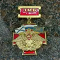 Знак нагрудный ДМБ ( Дембель )