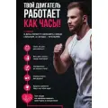 Pulse Box / Пульс бокс Набор Daily Box, 30 пакетов по 3 капсулы