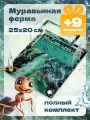 Большая Муравьиная ферма AntUniverse Giga, полный комплект, автоувлажнение, 245x195x65 мм