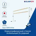 Хореографический станок мобильный Евро-2000 2-рядный с регулируемой высотой White в сборе