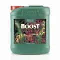 Стимулятор CANNABOOST Accelerator 5 л