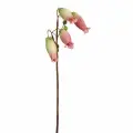 Ветка декоративная Каланхоэ #204912-400 Fiebiger Floristik 52 см