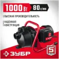 Насос садовый ЗУБР НПЦ-М1-1000