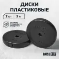 Диск пластиковый BASEFIT BB-203 5 кг, d=26 мм, черный, 2 шт.