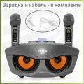 REXUS SD-306 Plus (Gray) - домашняя караоке система, изменение голоса, Bluetooth, USB, AUX