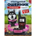Электронный ошейник для дрессировки собак