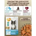 Мнямс Здоровый котенок хрустящие подушечки для котят с цыпленком и яйцом 60 г, 5 пачек