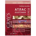 Атлас анатомии Грея