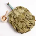 Дубовый веник для бани, Подарочный, отборный, из поросли, для банщика 2 шт.