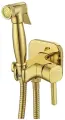 Смеситель латунный с гигиеническим душем встраиваемый Lemark Solo LM7165G золотистый