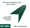 Угол внешний 100х100мм Длина 1250мм 10шт RAL 6005 зеленый