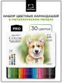 Набор профессиональных цветных карандашей Малевичъ GrafArt PRO, 30 цветов