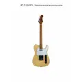 JET JT-300 BTS - Электрогитара шестиструнная