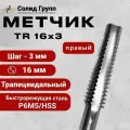 Метчик трапецеидальный м/р TR16х3, HSS, правый, 1 шт