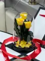 Трио «Мини» желтые розы в колбе в подарочной коробкой с вау-эффектом /22 см Живет 5 лет