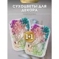 Натуральные сухоцветы для декора гипсофилы EPOXYMASTER, 2 упаковки