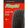 Шины летние 265/75R16 Rapid Ecolander 123/120S