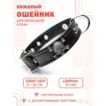 Кожаный ошейник с декоративными черепами (обхват шеи 21-28 см.) для маленьких собак / Черный цвет