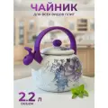 Эмалированный чайник со свистком для кухни RN-42 2,2 л