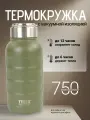Термос TYESO 750мл ts-8815