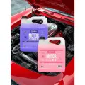 Набор для мойки двигателя автомобиля - Motor Cleaner DE + Motor Care, 4 л + 4 л, Chemical Russian, набор автохимии