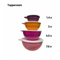 Набор мисок Tupperware Милиан, пластик, с петлей для подвешивания и крышками