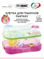 Клетка для грызунов IMAC FANTASY прозрачно-розовая, 58х38х38,5 см