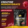 Креатин Моногидрат PRIMEKRAFT Creatine Monohydrate Micronized, со вкусом wild cherry (дикая вишня), 500 гр / 100 порций