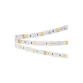 Светодиодная Лента RT-B60-10mm 24V RGBW-White (14.4 W/m, IP20, 5060, 5m) (Arlight, Открытый) 018325(2)