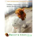 Pet Sexual Companion - Брачное отверстие - 3 размера на выбор-32