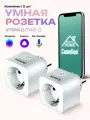 Умная розетка алиса Camelion Smart Home с Алисой, 2 штуки в комплекте