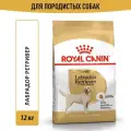 Сухой корм для собак Royal Canin Adult для породы лабрадор ретривер, 12 кг