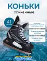 Коньки хоккейные Tech Team Atlant 41-й размер, нержавеющая сталь, черные.