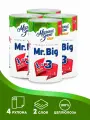 Бумажные полотенца в рулоне Мягкий знак Mr.Big, 2 сл, 32,5 м, 4 рулона, С5