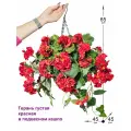 Пеларгония ампельная красная 4 куста в коковите от ФитоПарк, подвесные кашпо для улицы с цветами
