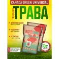 Газонная трава семена Канада Грин Спортивная 10 кг/ Канада Грин газонная трава/ райграс, мятлик, овсяница