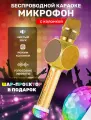 Беспроводной караоке-микрофон SU.YOSD Magic Karaoke YS-63, эхо, золотой