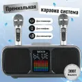 Караоке система с двумя радиомикрофонами SDRD SD 318 Серая
