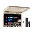 Потолочный монитор на Android AVS117BE + Xiaomi Mi TV Stick + AV1252DC