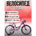Велосипед детский MAXSTAR 20 Lady Фиолетовый, под рост 118-130 см