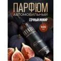 Автопарфюм AromaKo Инжир, для автомобиля, дома, офиса, текстиля, 100мл