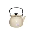 Чайник 3,5 л сферич. с цельной ручкой Магнолия слоновая