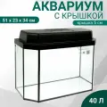 Аквариум Панорамный с крышкой, 40 литров, 51 х 23 х 34/39 см, чёрный