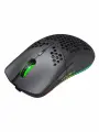 USB Rechargeable Notebook Desktop Mice T66 Honeycomb Lightweight RGB Backlit 2.4GHz Wireless Mouse for Home Office