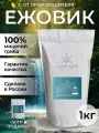 Мицелий Ежовика гребенчатого Lion's Mane GribFarm, 1кг, для микродозинга и ноотропов